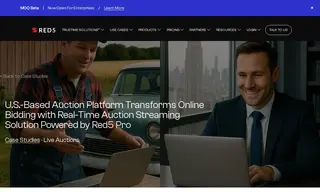 Preview of the U.S.-Based Auction Platform Case Study