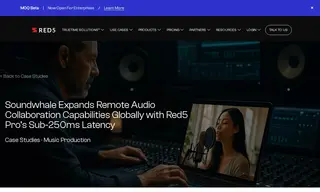 Preview of the Soundwhale Case Study