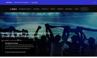 Preview of the Amino Case Study