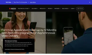 Preview of the FormVue Case Study