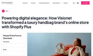 Preview of the Luxury Handbag Brand Case Study