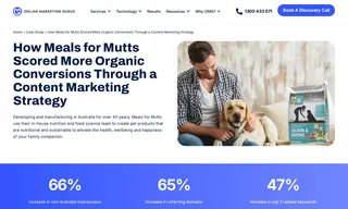 Preview of the Meals for Mutts Case Study