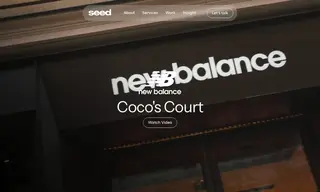 Preview of the New Balance Case Study