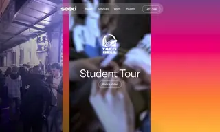 Preview of the Taco Bell Case Study