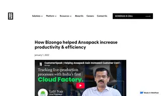 Preview of the Ansapack Case Study
