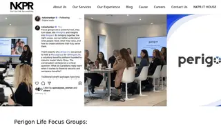 Preview of the Perigon Life Case Study