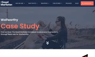 Preview of the Wolfworthy Case Study