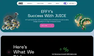 Preview of the Effy Case Study