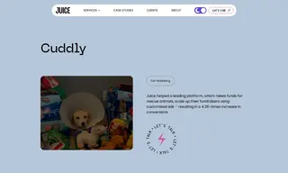 Preview of the Cuddly Case Study