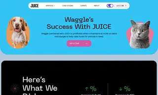 Preview of the Waggle Case Study