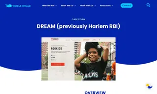 Preview of the DREAM Case Study