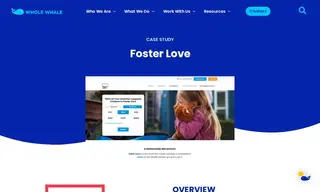 Preview of the Foster Love Case Study