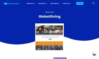 Preview of the GlobalGiving Case Study