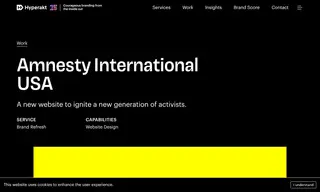 Preview of the Amnesty International USA Case Study