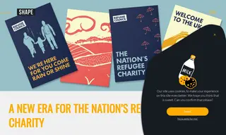 Preview of the Refugee Council Case Study