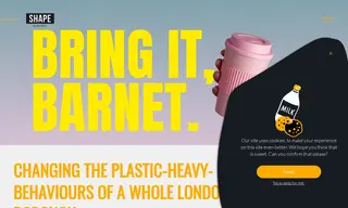 Preview of the North London Waste Authority Case Study