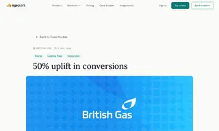 Preview of the British Gas Case Study
