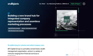 Preview of the BFI Capital Group Case Study