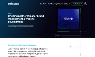 Preview of the Vidrio Financial Case Study