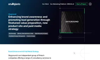 Preview of the Skyground Case Study