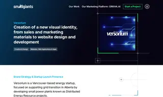 Preview of the Versorium Case Study