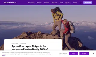 Preview of the Apivia Courtage Case Study