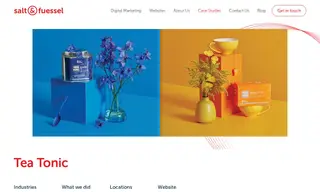 Preview of the Tea Tonic Case Study