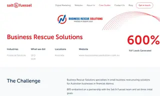 Preview of the Business Rescue Solutions Case Study