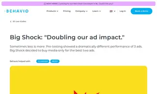 Preview of the Big Shock Case Study