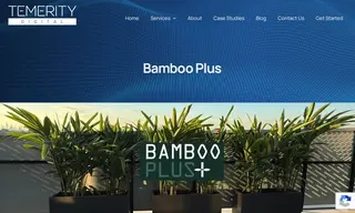 Preview of the Bamboo Plus Case Study