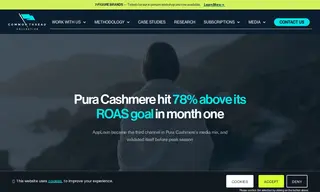 Preview of the Pura Cashmere Case Study
