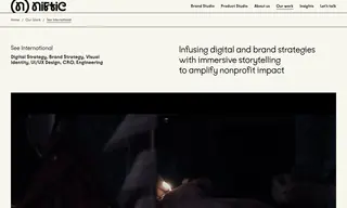 Preview of the SEE International Case Study