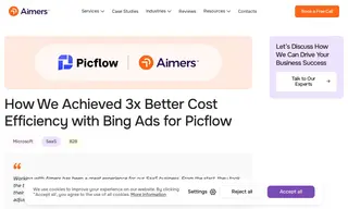 Preview of the Picflow Case Study