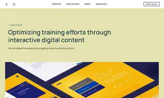 Preview of the Visa Case Study