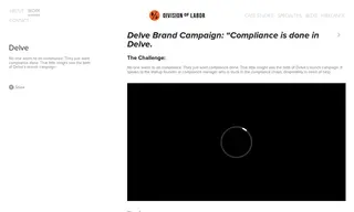 Preview of the Delve Case Study