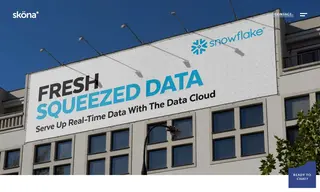Preview of the Snowflake﻿ Case Study