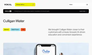 Preview of the Culligan Water Case Study