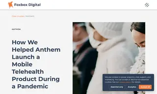 Preview of the Anthem Case Study