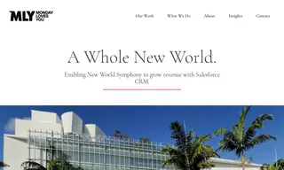 Preview of the New World Symphony Case Study
