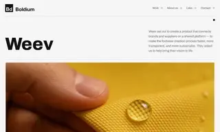 Preview of the Weev Case Study