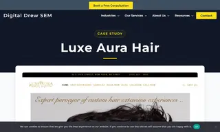 Preview of the Luxe Aura Hair Case Study