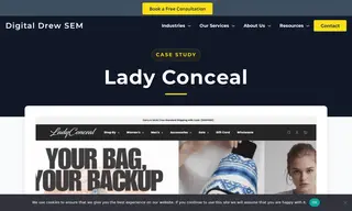 Preview of the Lady Conceal Case Study