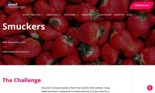 Preview of the Smuckers Case Study