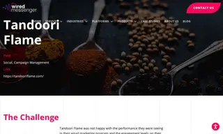 Preview of the Tandoori Flame Case Study