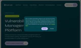 Preview of the Holm Security Case Study