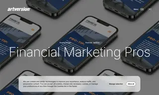 Preview of the Financial Marketing Pros Case Study