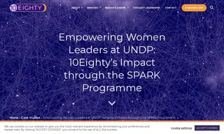 Preview of the United Nations Development Programme (UNDP) Case Study