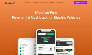 Preview of the Renault Case Study