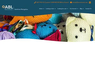 Preview of the Soft Toy Company FR Case Study