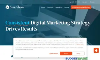 Preview of the BudgetEase Case Study